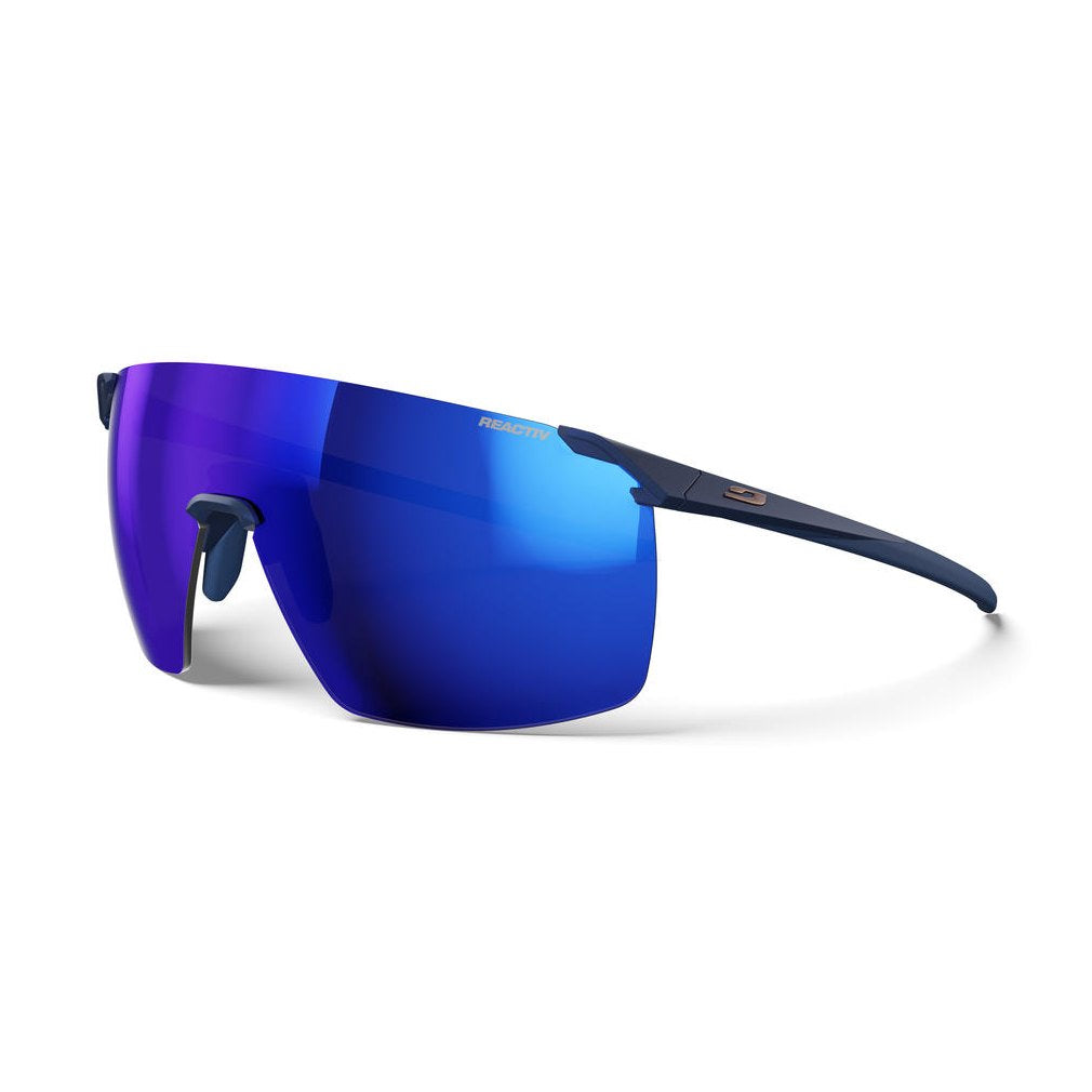 Faster L Solglasögon