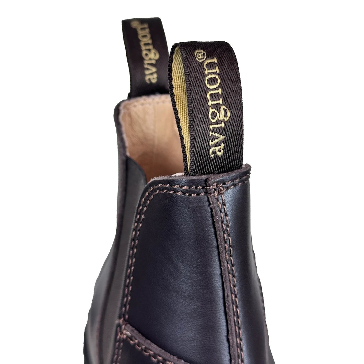 Darwin Jodhpurs