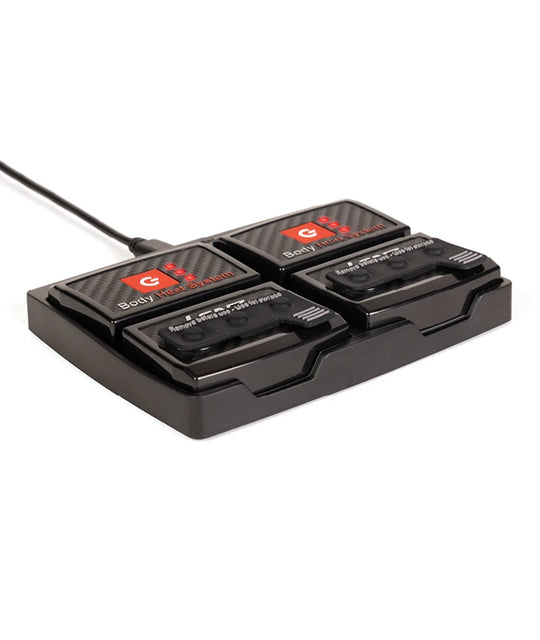 Lenz rcB 2000 lithium pack