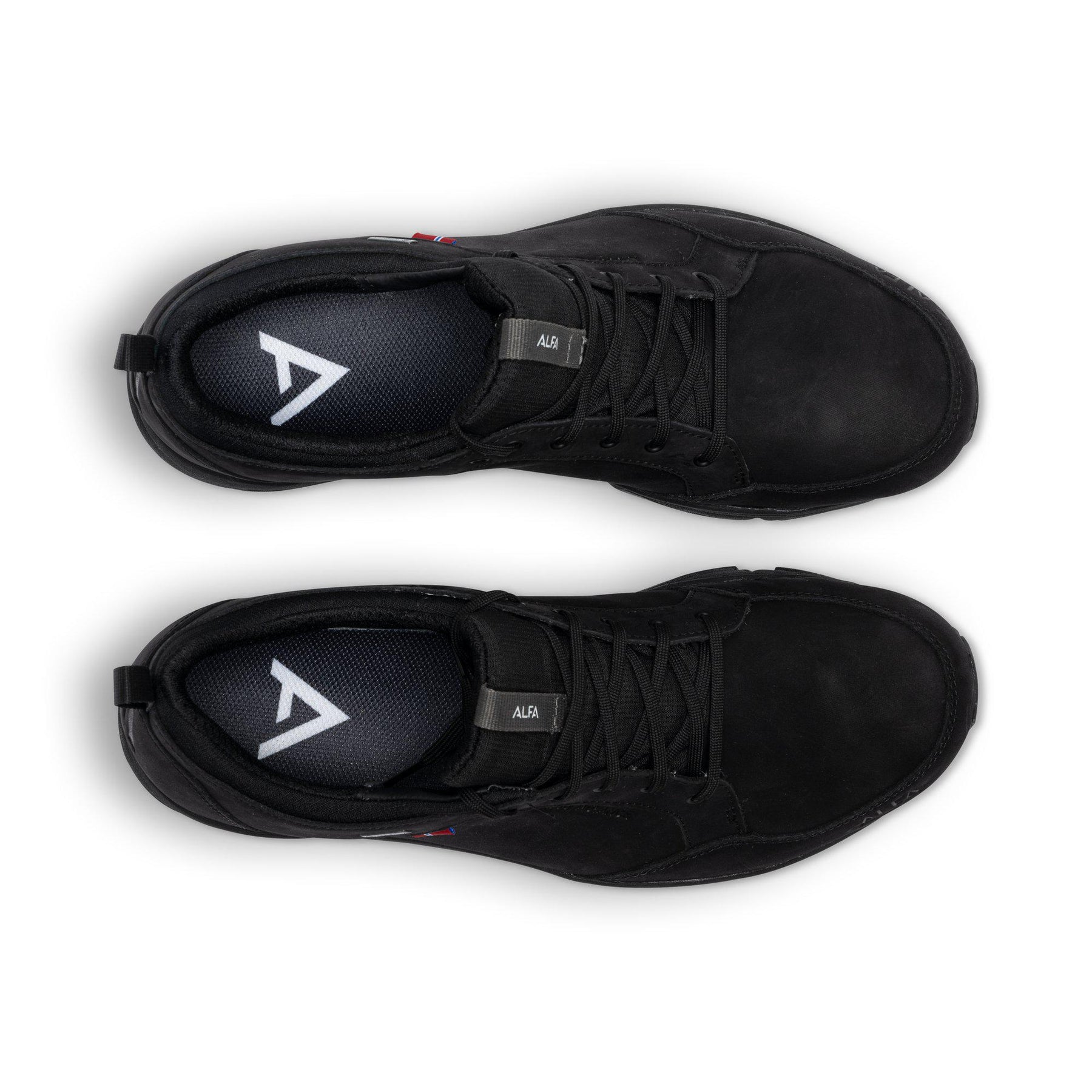 Laggo Leather Adv. GTX Sko Herr