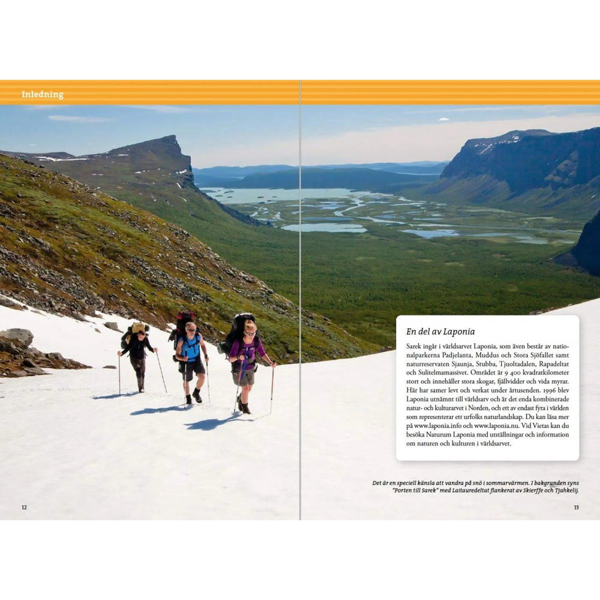 Fjällvandra i Sarek