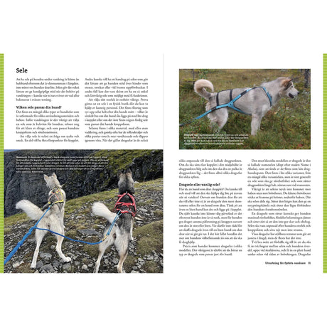 Vandra med hund