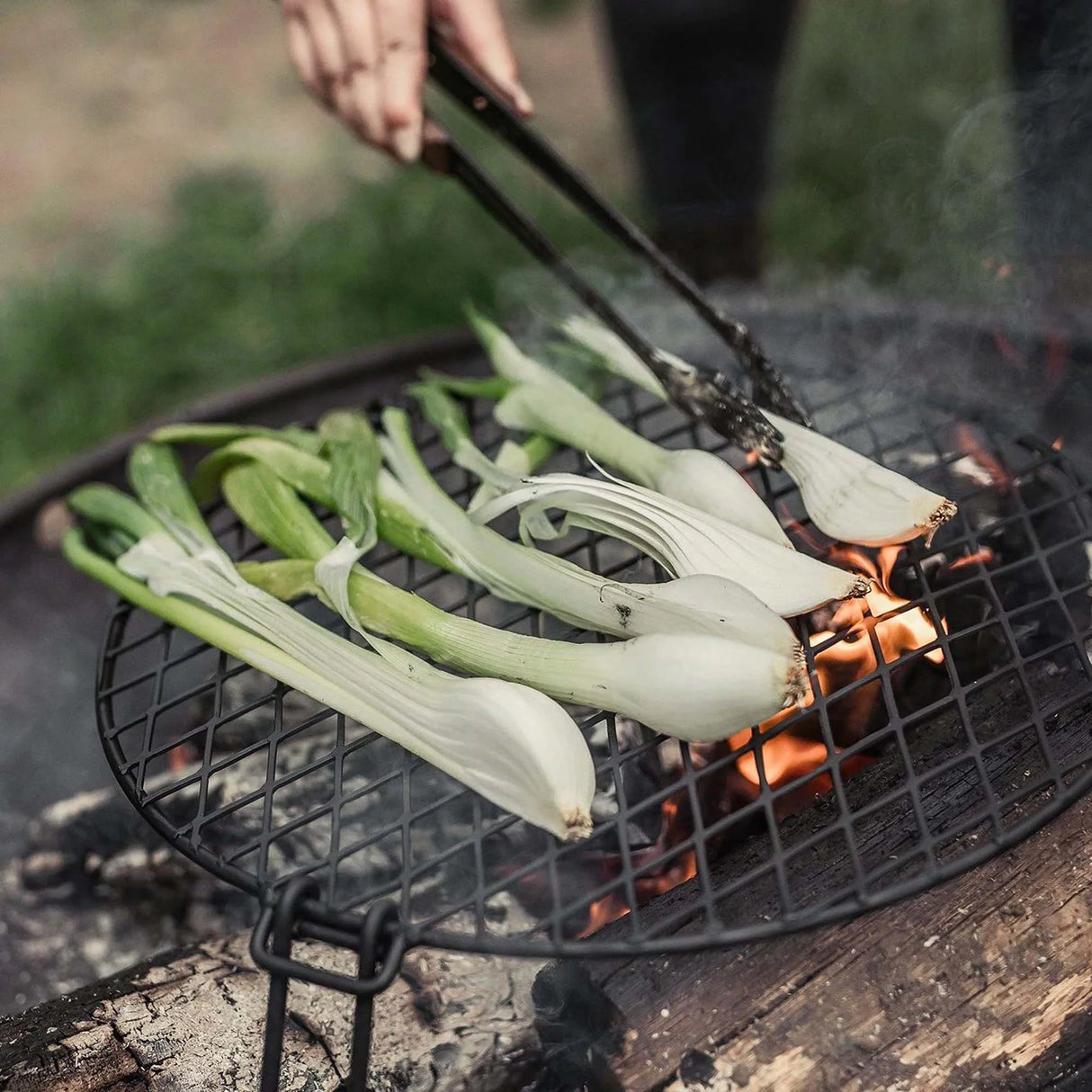 Fire Pit Grillgaller